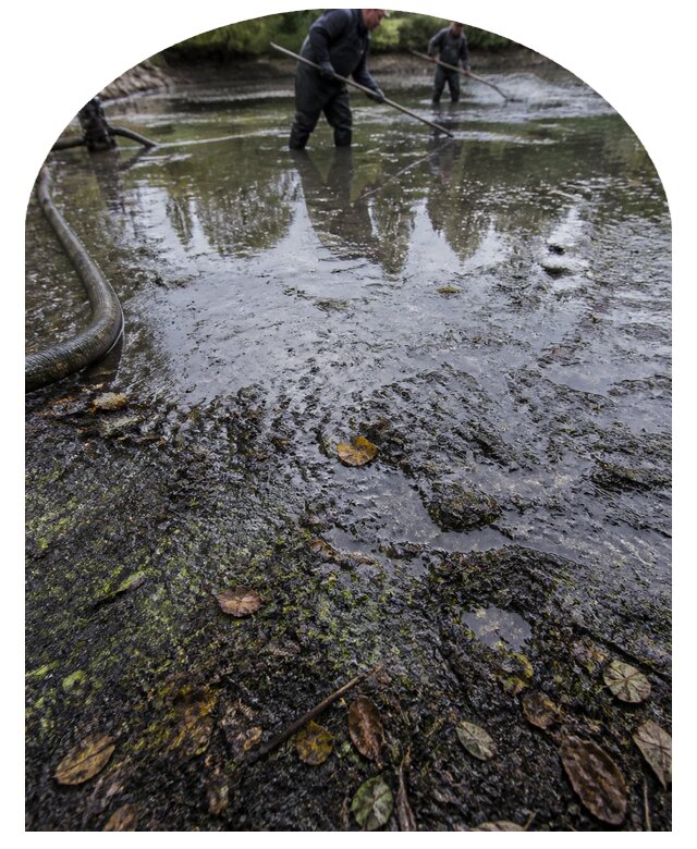 Очистка пруда в Мценске от ила мусора и водорослей с вывозом
